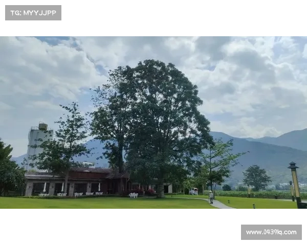 哈尔姆斯塔周边旅游攻略探索魅力小镇及自然景观之美 哈尔姆斯塔周边旅游攻略探索魅力小镇及自然景观之美