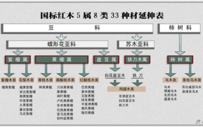 大红酸枝为什么会叫“老红木”？